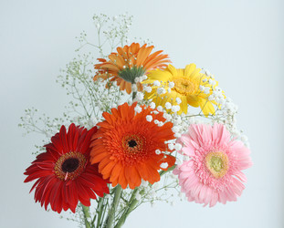 Similar image 219082