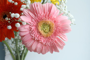 Similar image 219084