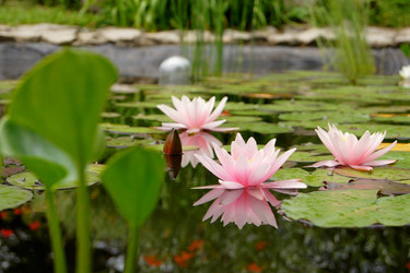 Similar image 219085