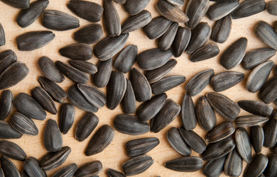 Similar image 219103