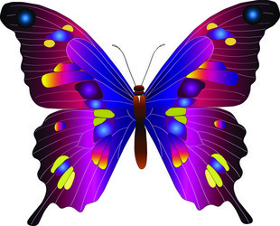 Similar image 219146