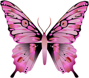 Similar image 219152