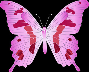 Similar image 219154