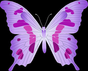 Similar image 219155