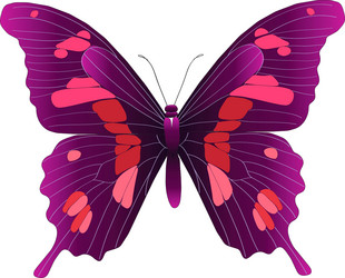 Similar image 219156