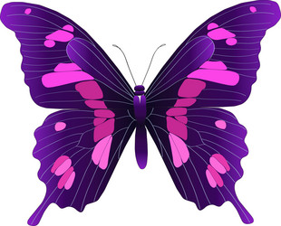 Similar image 219158