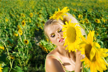 Similar image 219207