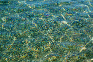 Similar image 219219