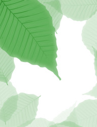 Similar image 219248