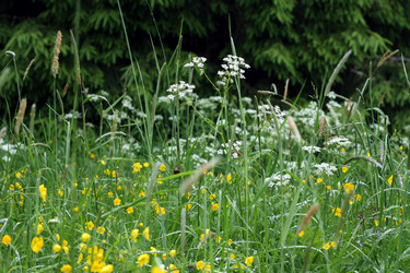 Similar image 219303