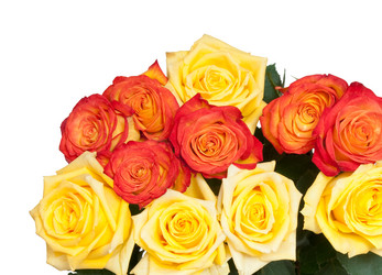 Similar image 219319