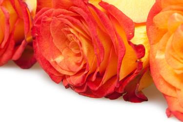 Similar image 219322