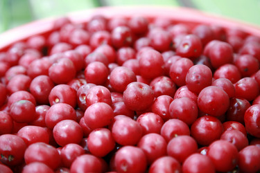 Similar image 219339