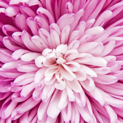 Similar image 219343