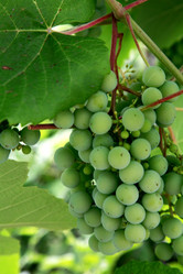 Similar image 219395