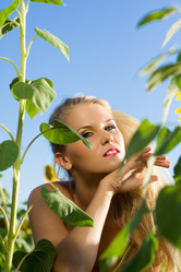 Similar image 219397