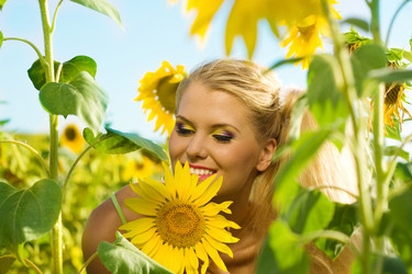 Similar image 219399