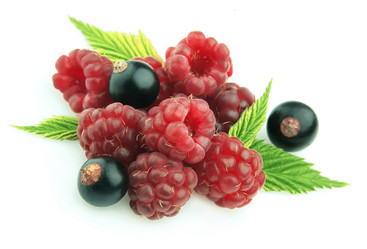 Similar image 219400