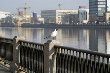 Similar image 219401