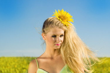 Similar image 219409