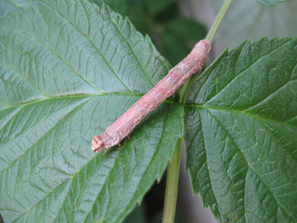 Similar image 219495