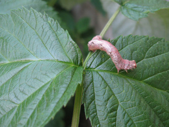 Similar image 219496