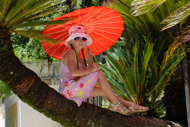 Similar image 219501