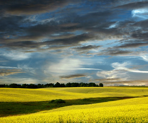 Similar image 219547