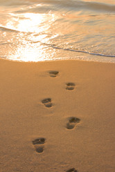 Similar image 219587