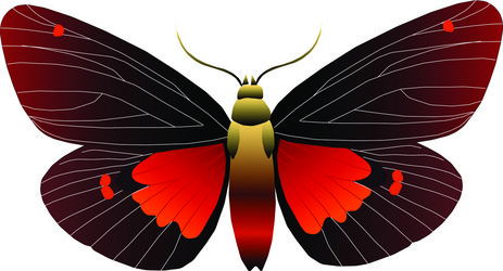 Similar image 219602