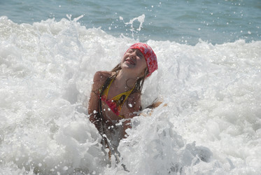 Similar image 219624