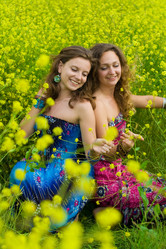 Similar image 219634