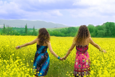 Similar image 219641