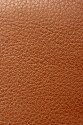 Similar image 219658