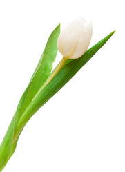 Similar image 219663