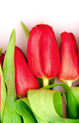 Similar image 219665