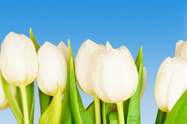 Similar image 219670