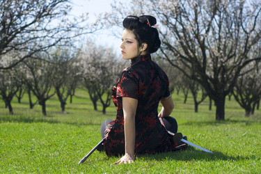 Similar image 219680