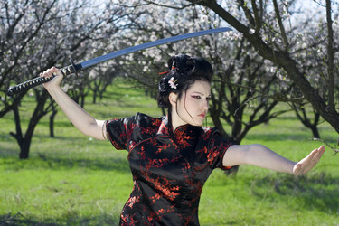 Similar image 219682