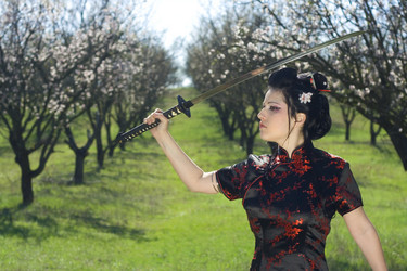 Similar image 219687