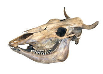 Similar image 219724