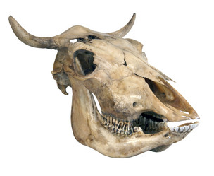 Similar image 219726