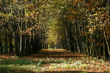 Similar image 219731