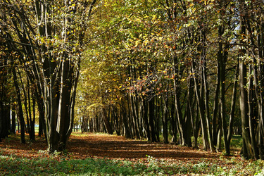 Similar image 219732