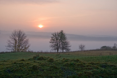 Similar image 219768