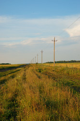 Similar image 219795