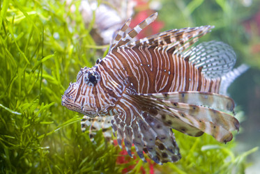 Similar image 219798