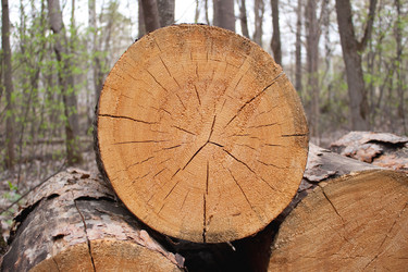 Similar image 219800