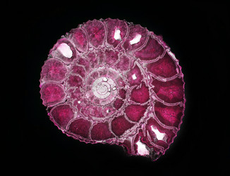 Similar image 219811