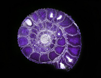 Similar image 219813